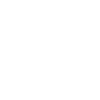 Visitor Insurance